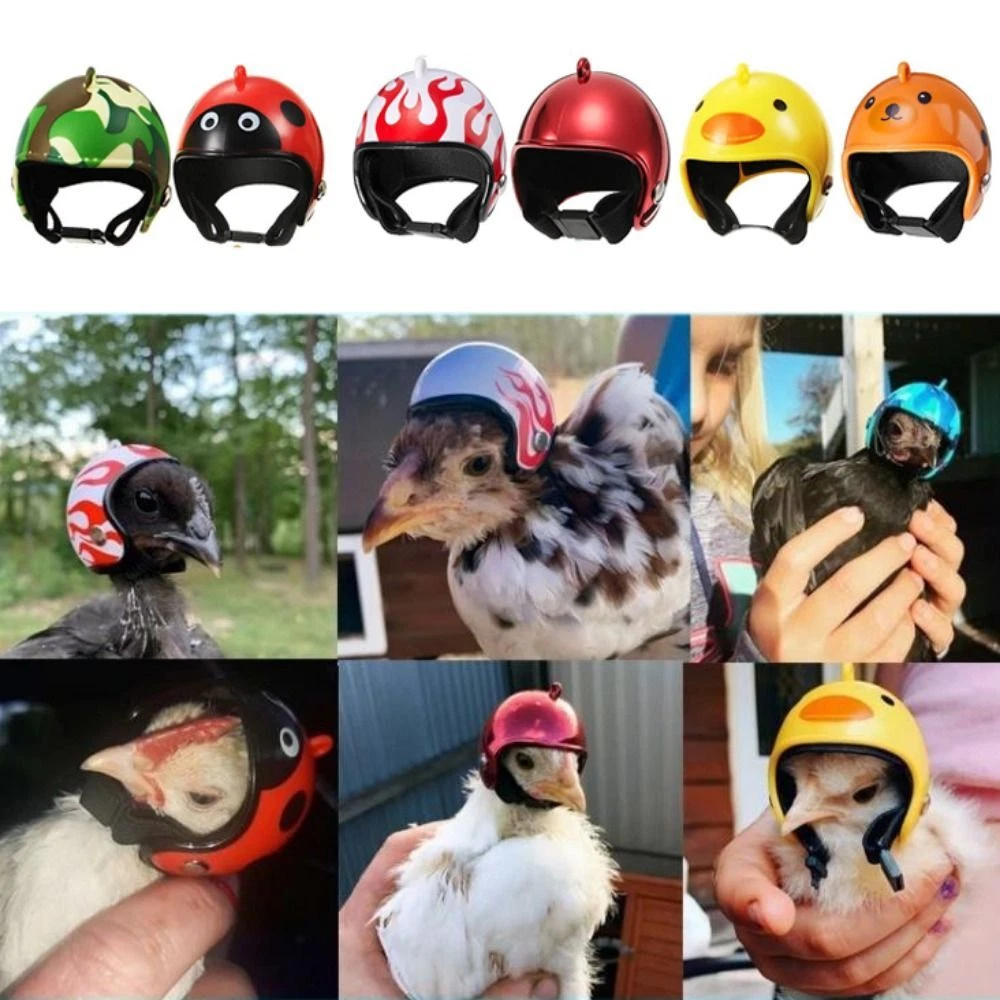 collage